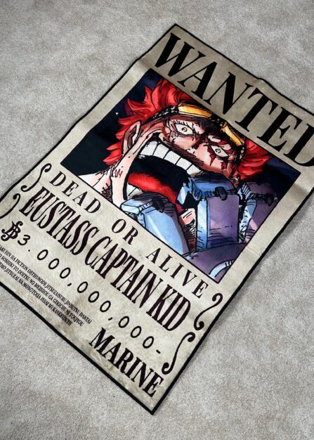 Alternative view of Eustass Kid