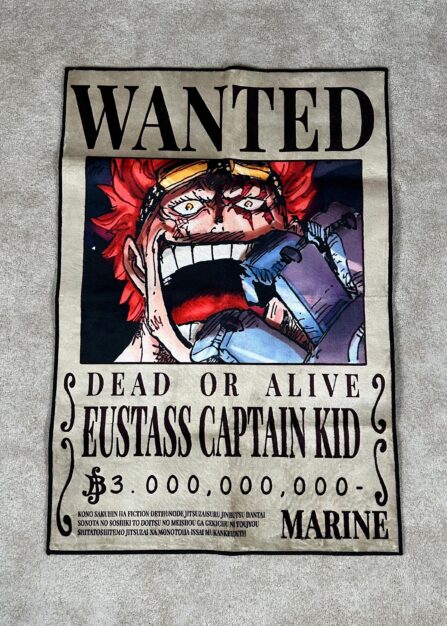 Eustass Kid